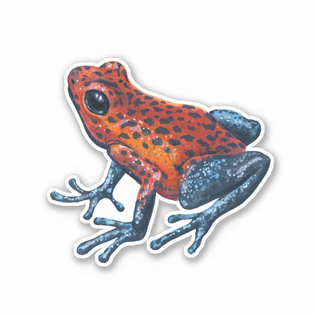 Strawberry Poison dart frog (Front)
