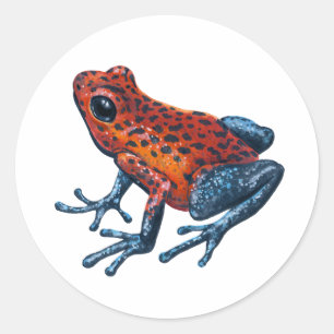 Strawberry Poison dart frog Classic Round Sticker