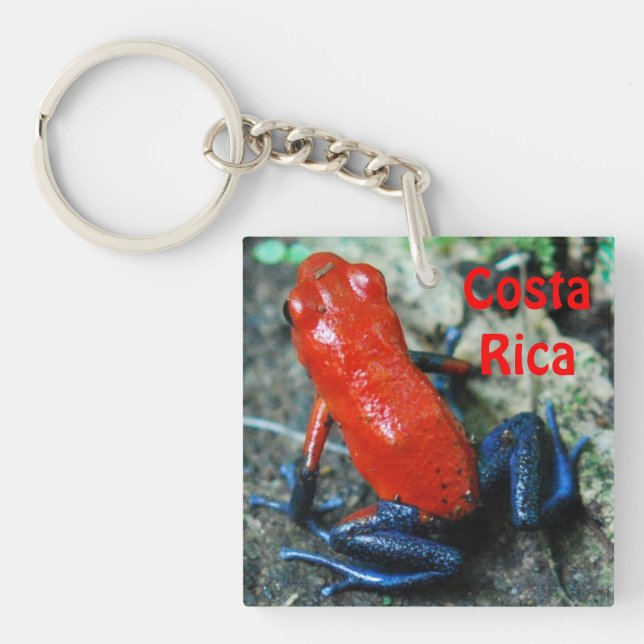 Strawberry Poison Dart Frog in Costa Rica Key Ring (Front)