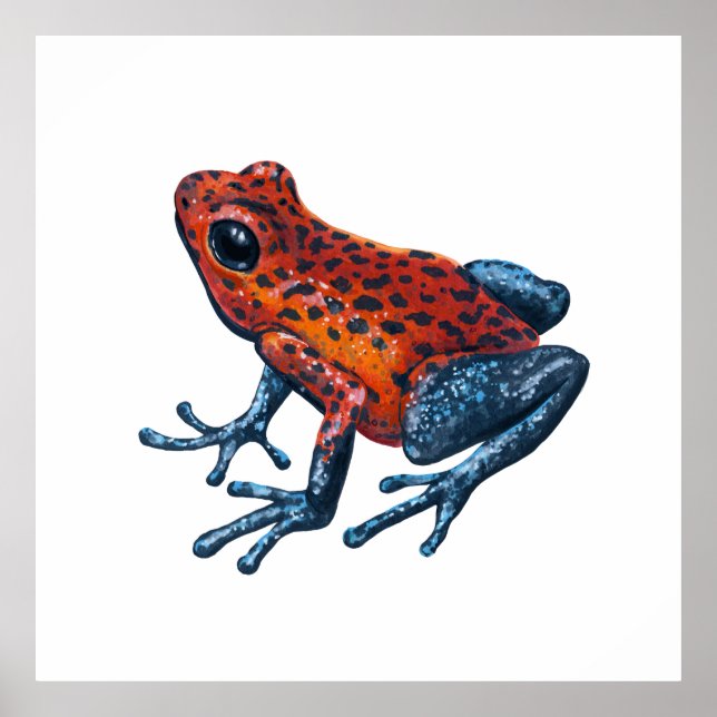 Strawberry Poison dart frog Poster (Front)