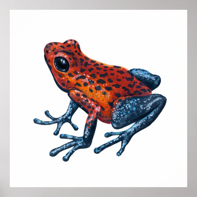 Strawberry Poison dart frog Poster (Front)