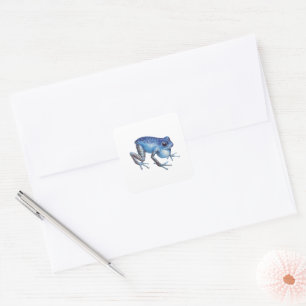Strawberry Poison dart frog Square Sticker