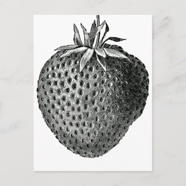 strawberry postcard (Front)