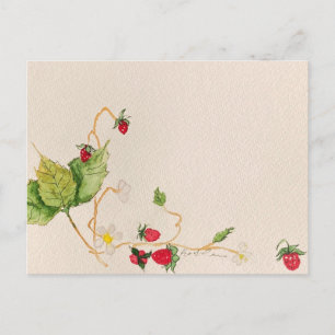 strawberry postcard