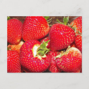 Strawberry Postcard