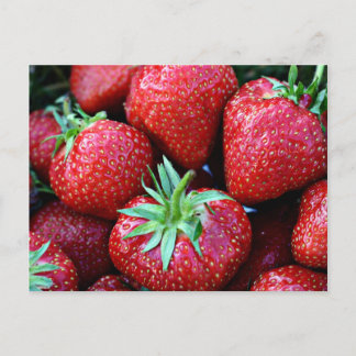 Strawberry Postcards