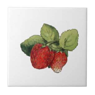 Strawberry Tile