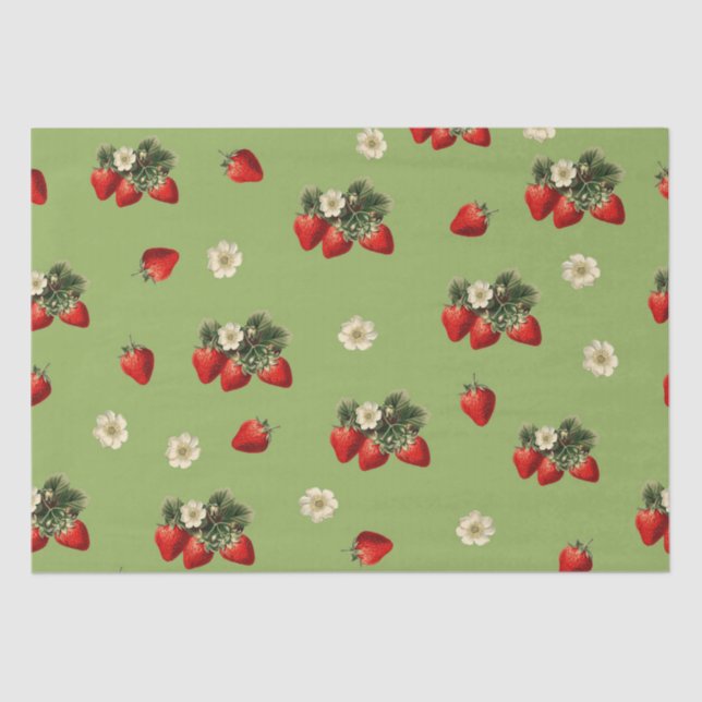 Strawberry tissue paper on moss green (Front)