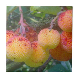 Strawberry Tree Fruit Tile