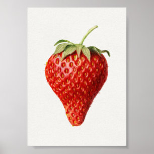 Strawberry Vintage Art Poster