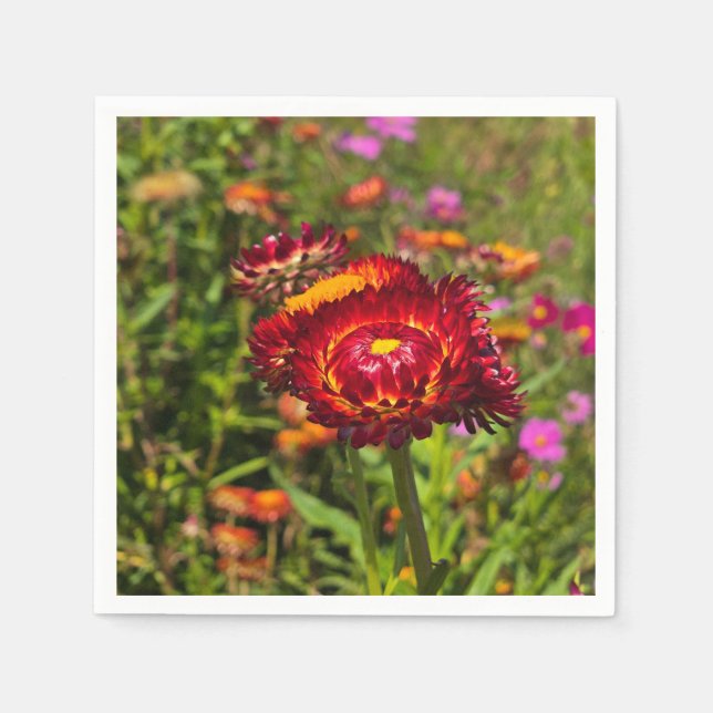 Strawflower garden napkin (Front)