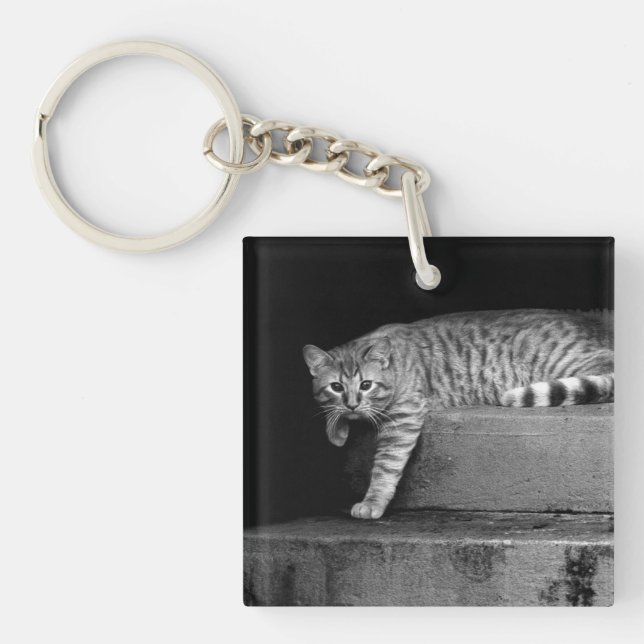 Stray Cat on Stairs Key Ring (Front)