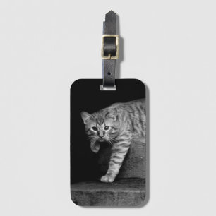 Stray Cat on Stairs Luggage Tag
