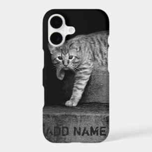 Stray Cat on Stairs - Personalizable