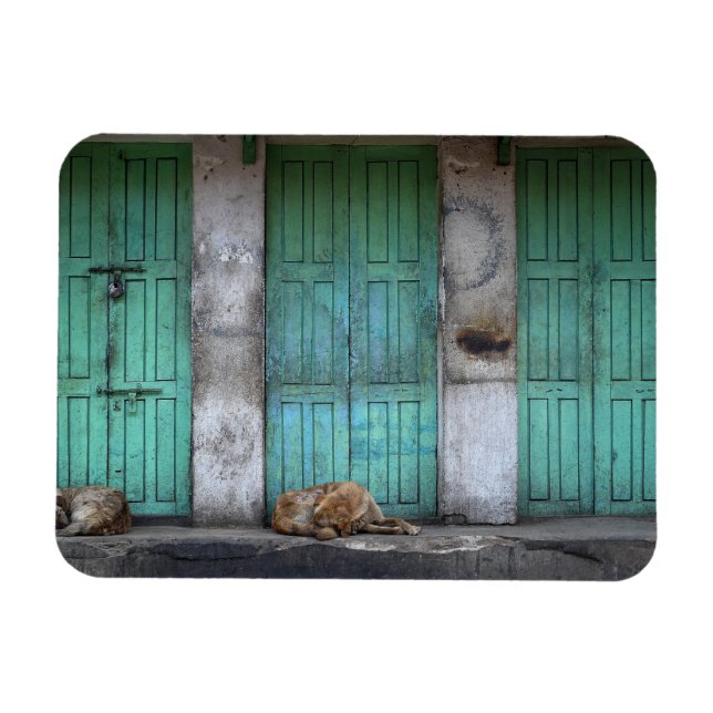Stray dogs in front of doors rectangle magnet (Horizontal)