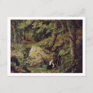 Stray rabbits postcard