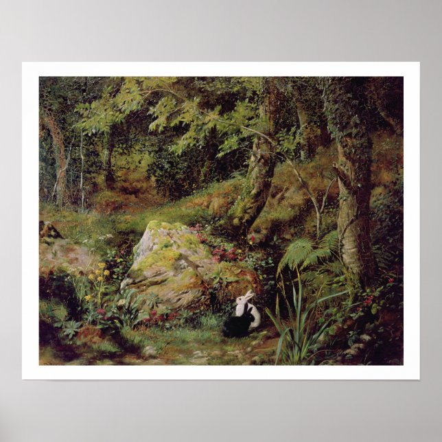 Stray rabbits poster (Front)