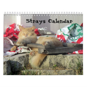 Strays Calendar (Encore Edition)