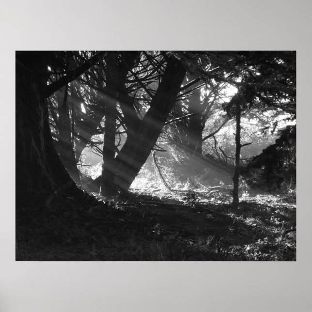 Streak of Light Poster (Front)