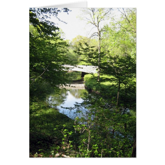 Stream and Green (Front)