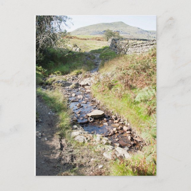 Stream Coniston Cumbrai England Card (Front)