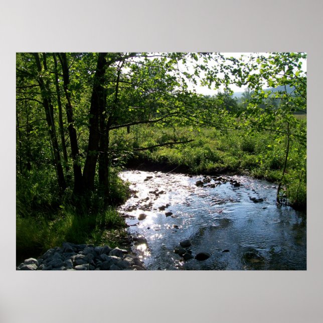 Stream in Cades Cove Poster (Front)