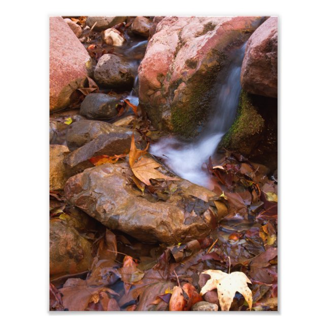 Stream in Payson, Arizona Photo Print (Front)