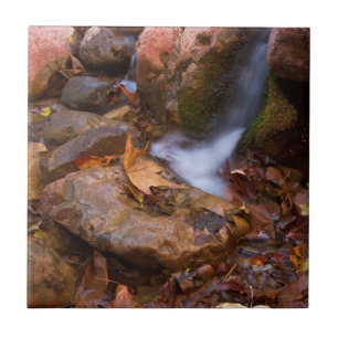Stream in Payson, Arizona  Tile