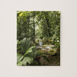 stream in rainforest, Dominica Jigsaw Puzzle
