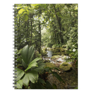 stream in rainforest, Dominica Notebook