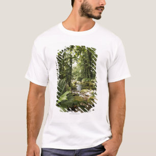 stream in rainforest, Dominica T-Shirt