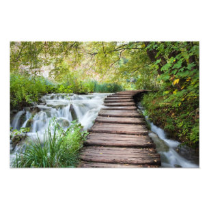 Stream in the Forest Photo Print