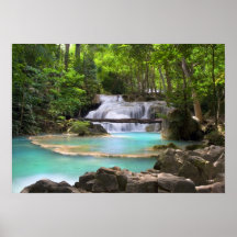 Stream in the Tropical Forest