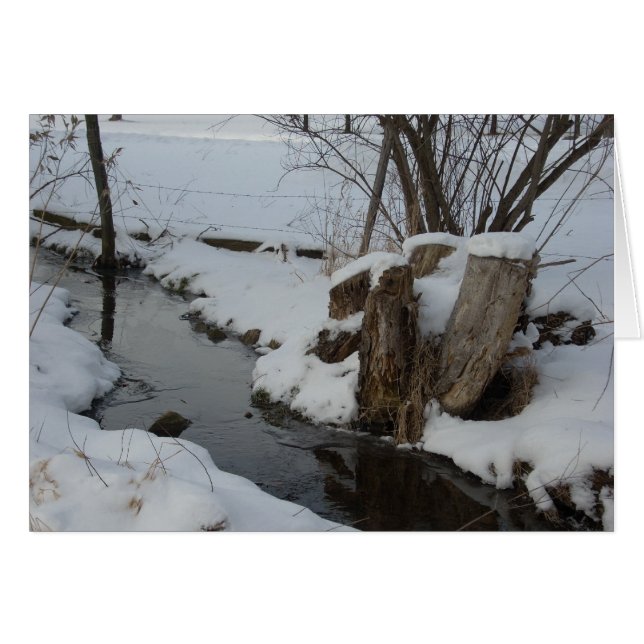 Stream in Winter (Front Horizontal)
