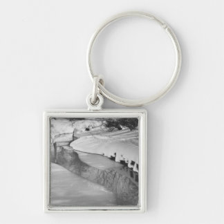 Stream in winter B&W Key Ring