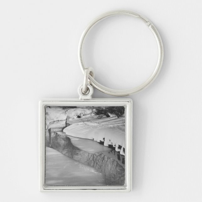 Stream in winter B&W Key Ring (Front)