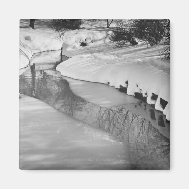 Stream in winter B&W Magnet (Front)