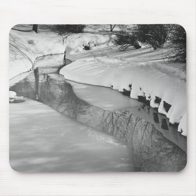 Stream in winter B&W Mouse Mat (Front)