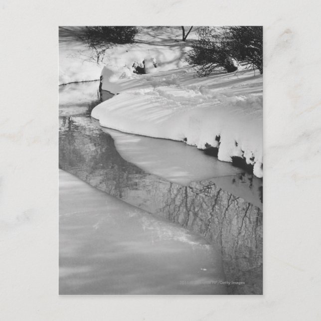 Stream in winter B&W Postcard (Front)