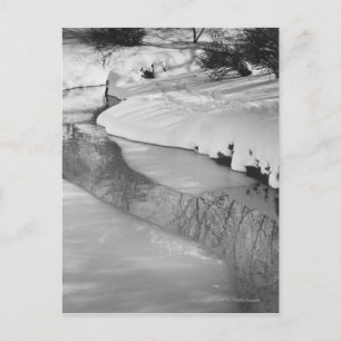 Stream in winter B&W Postcard