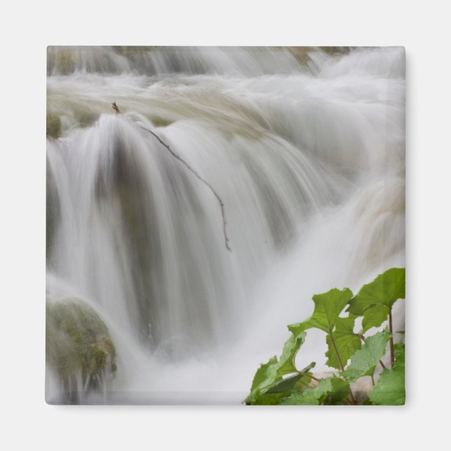 Stream Magnet (Front)