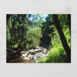 Stream Postcard