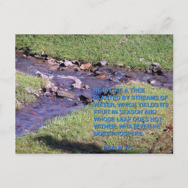 STREAMS POSTCARD (Front)