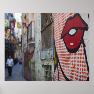 Street art on Calle de la Libertad street Poster