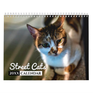 Street Cats Photo Wall Calendar
