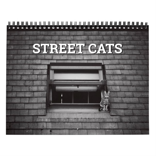 Street Cats Photography Calendar (Cover)