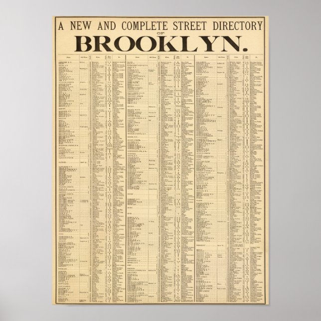 Street directory of Brooklyn 1st page Poster (Front)