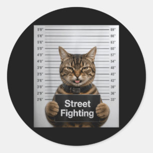 Street Fighting Funny Cat Humour For Kitten Pet Classic Round Sticker