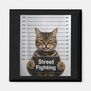 Street Fighting Funny Cat Humour For Kitten Pet Magnet
