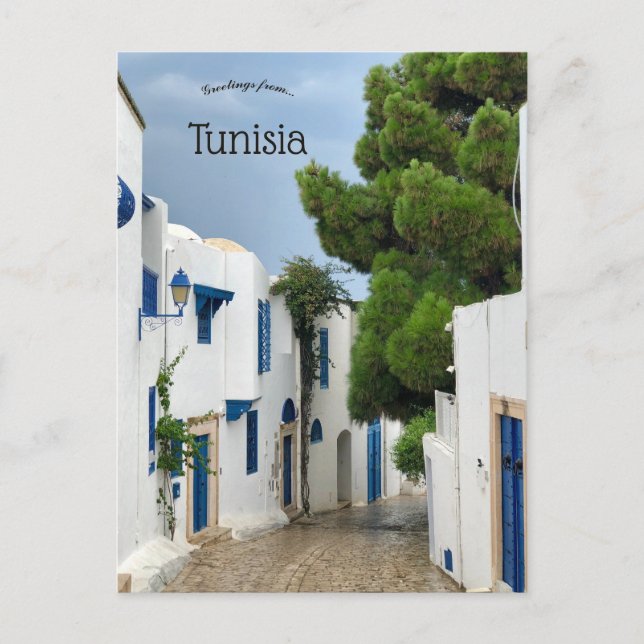 Street in Sidi Bou Said Carthage Tunisia Postcard (Front)